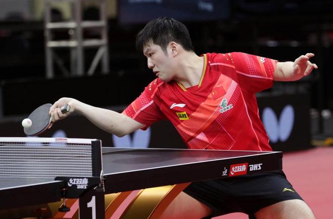 展的推动力 展的推动力