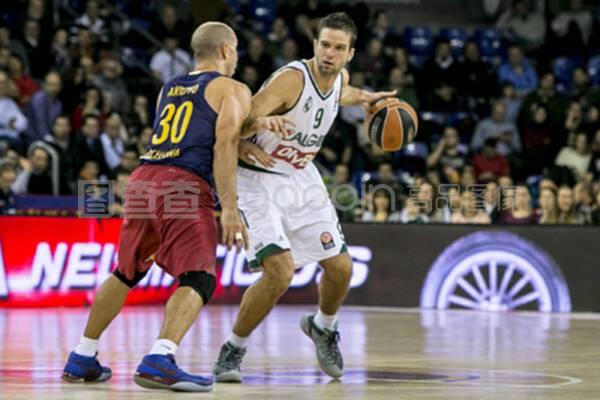 其对边翼卫 其对边翼卫