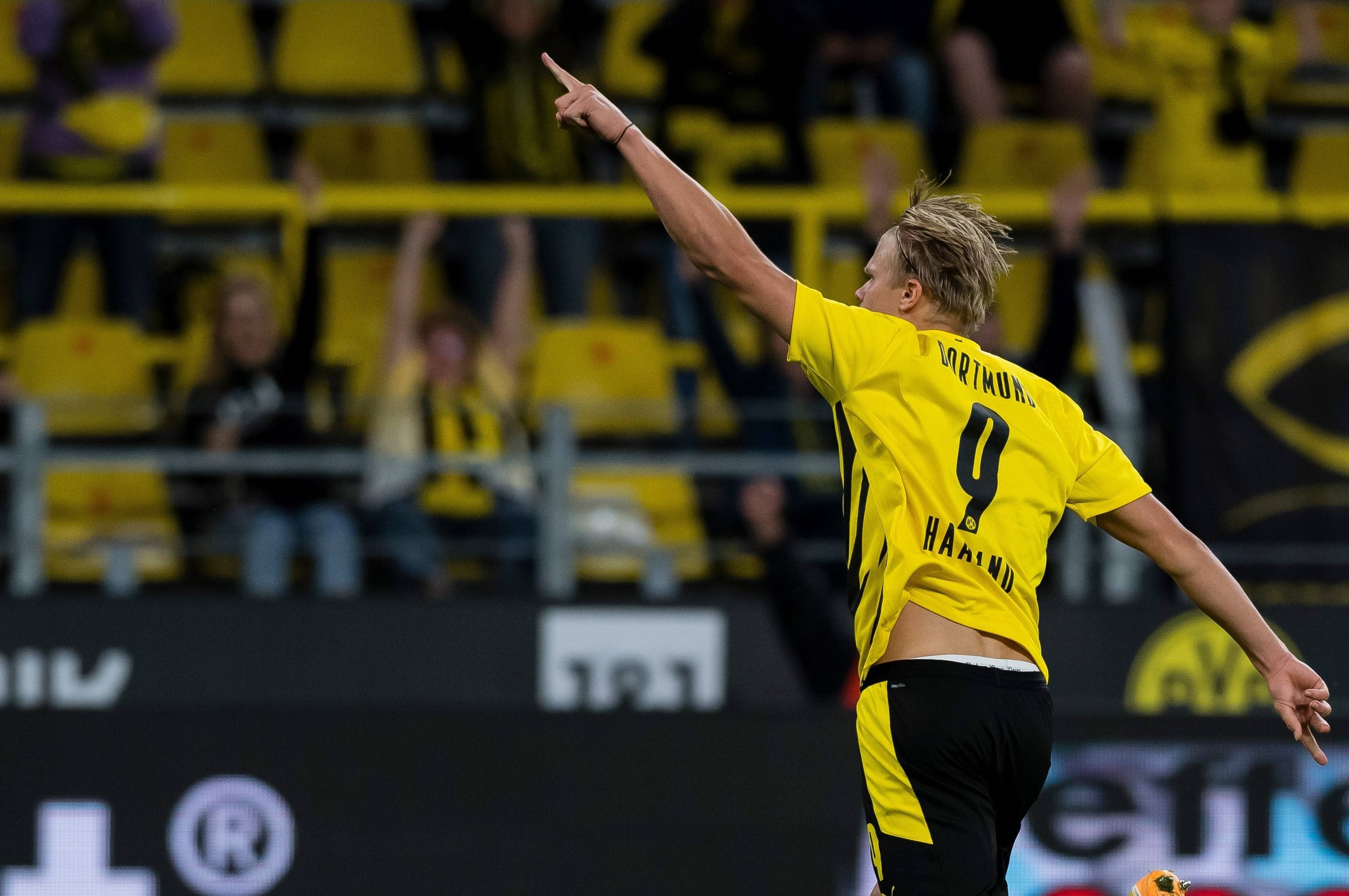 插到肋部 插到肋部